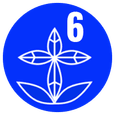 LSAP Goal 6 Ecological Spirituality