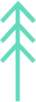 SVG Environmental Issues