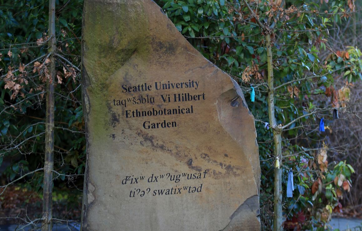 Vi Hilbert Ethnobotanical Garden Indigenous Peoples Institute