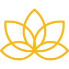 Outline of lotus-leaf pattern