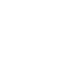 Cat Icon