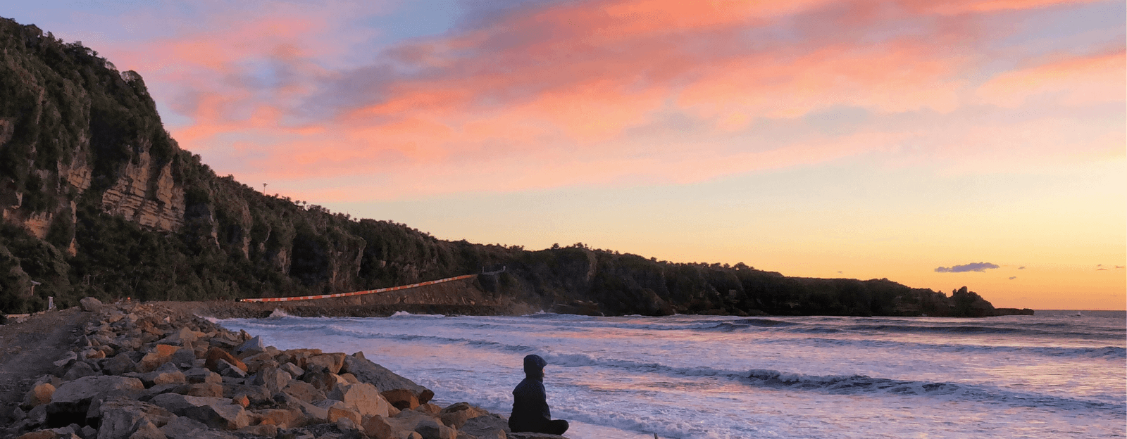 University of Auckland Programs Explore Programs Students