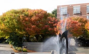 Photo of fountain with trees in background
