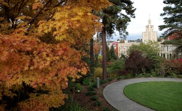 Fall on Campus