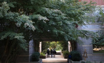 People walking under trees