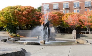 Photo of fountain with trees in background
