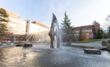 A fountain in front of a building with trees in the background.