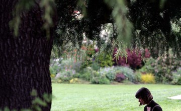 A woman sits on a bench under a tree.