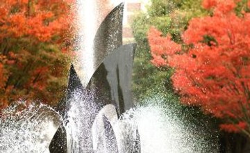 Photo of fountain amid autumn leaves