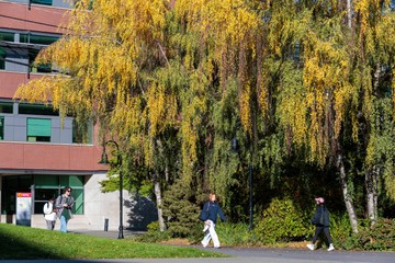 A Top Green School