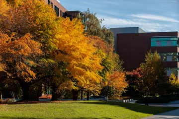 SU in the News