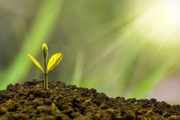 Investing in Sustainability