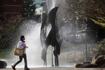 Institutional Modesty