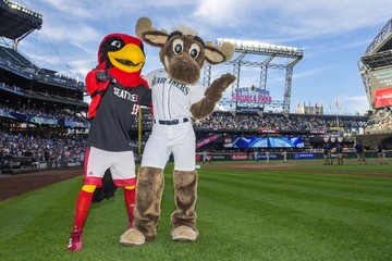 SUmmer Sports in Seattle