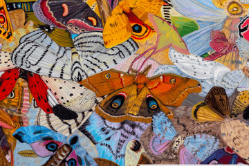 Investing in the Arts