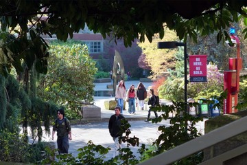 The Value of an SU Education
