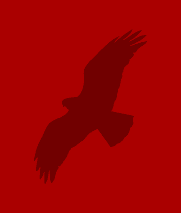 A silhouette of an eagle flying over a red background.
