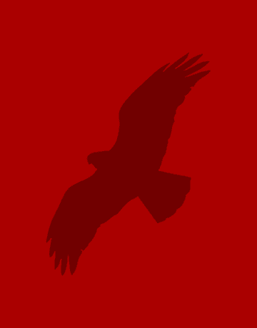 A silhouette of an eagle flying over a red background.