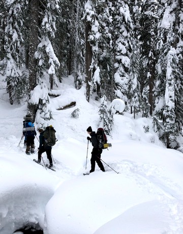 A group of students is hiking in the forest in the middle of snow. Trees in the background are covered by snow as well