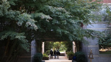 People walking under trees