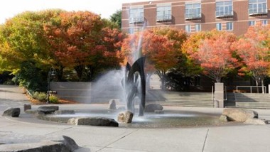 Photo of fountain with trees in background