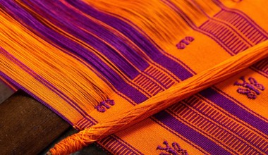 Latin American and Latinx Studies Program