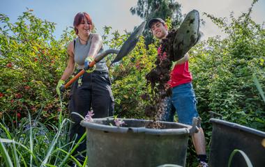 Two people shovel dirt