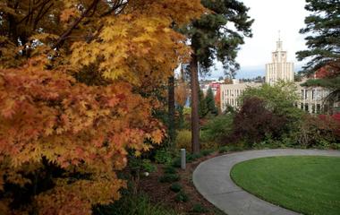 su campus in fall