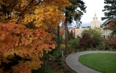 A park with trees and a building in the background.