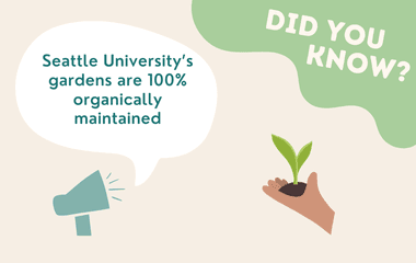 Seattle University’s gardens are 100% organically maintained