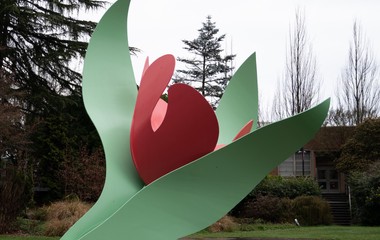 Sculptural Art Blooms