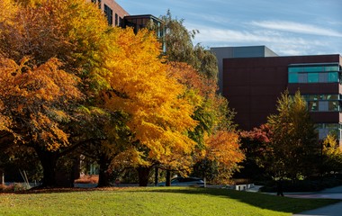 SU in the News