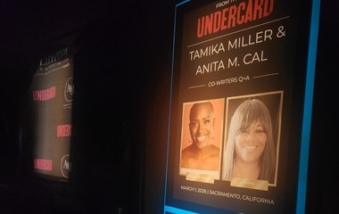 Storytelling That Packs a Punch