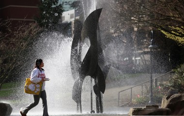 Institutional Modesty