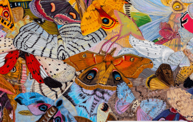 Investing in the Arts