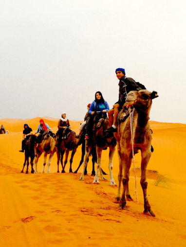 people riding camels in the desert
