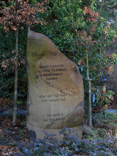 rock engraved with Vi Hilbert Ethnobotanical Garden information
