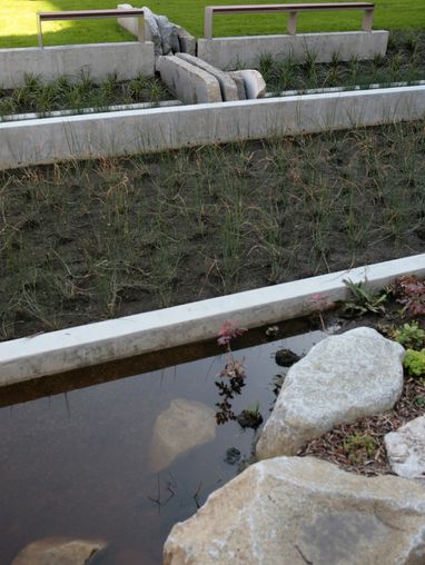rain gardens outside of Lemieux Library