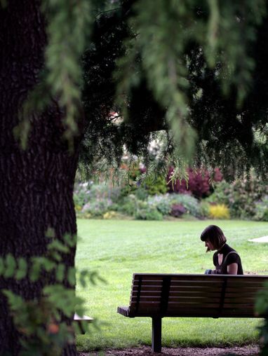 A student sitting under a tree on the bench