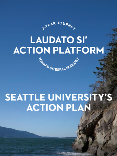 Cover of publication of Laudato Si
