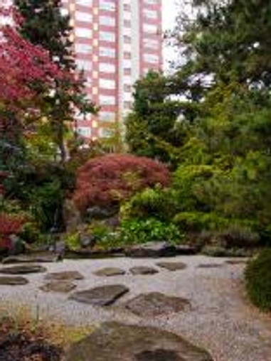 Trees and other greenery on campus.