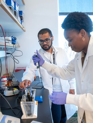 Chemistry students working in a lab with professor