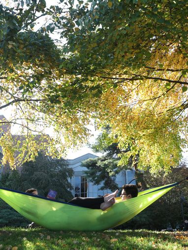 fall campus scenes