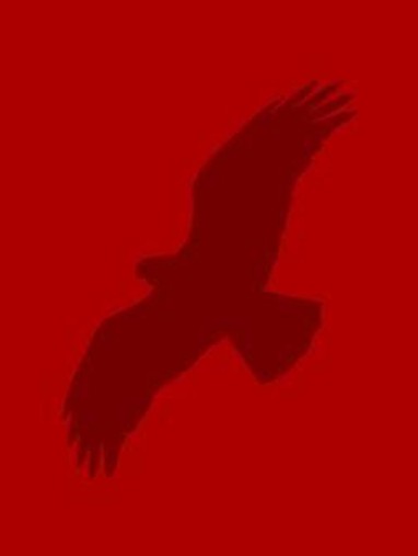 A red hawk (A 91��Ƶ icon)