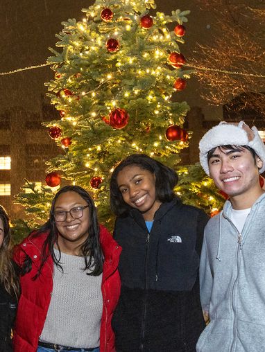Christmas tree lighting