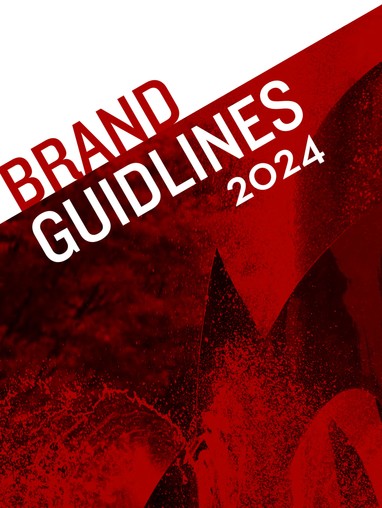brand guidelines image