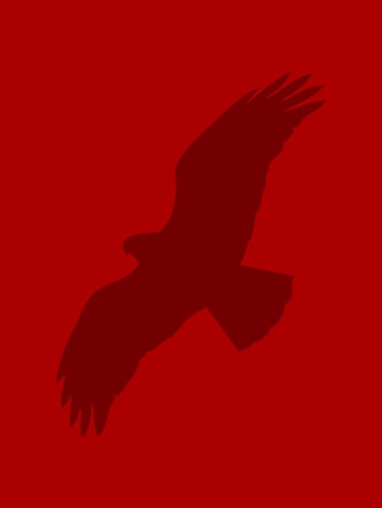 A red hawk (A 91��Ƶ icon)