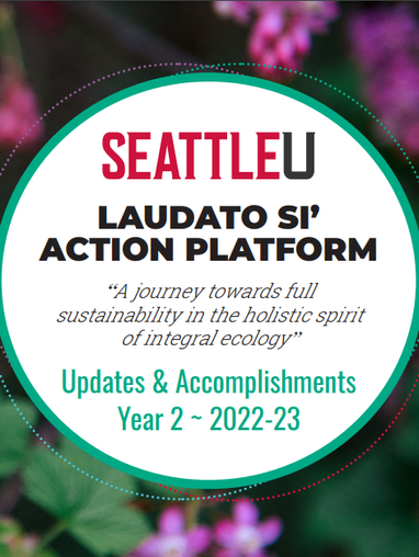 Cover of publication LSAP Updates and Accomplishments