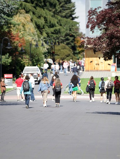 Students walk along lower mall on a sunny day.
