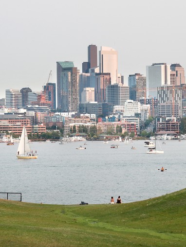 A view of the seattle skyline from a grassy hill.